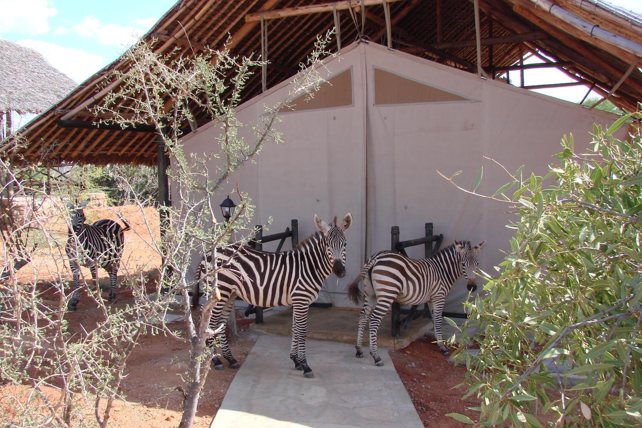 Вилла Maneaters Tsavo Экстерьер фото